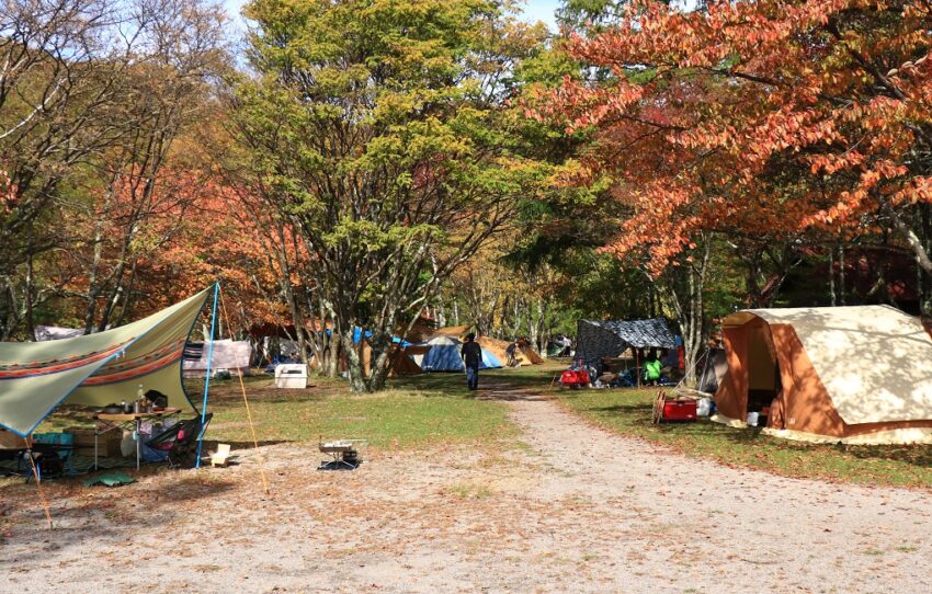 無料 場 キャンプ 県 埼玉