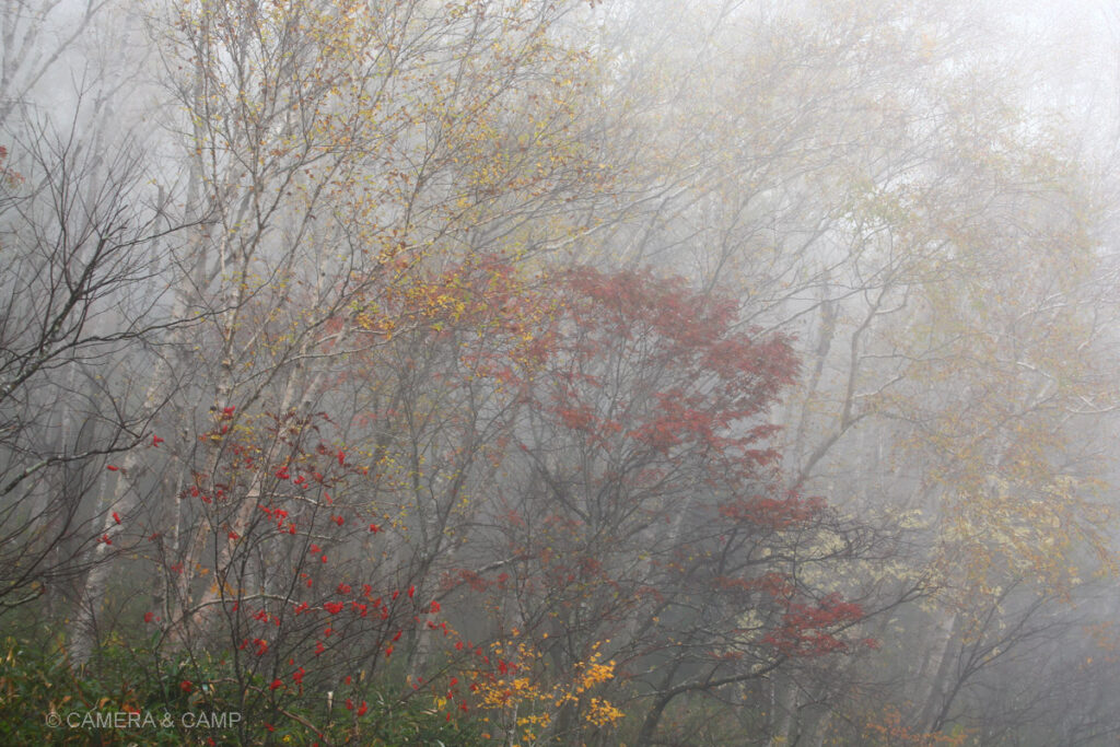 志賀高原の紅葉
