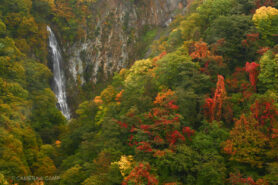 志賀高原の紅葉　澗満滝