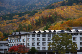 志賀高原の紅葉