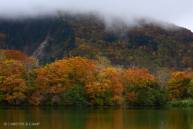 志賀高原の紅葉