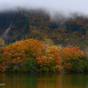 志賀高原の紅葉