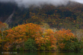 志賀高原の紅葉