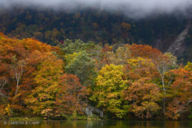 志賀高原の紅葉