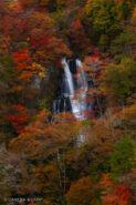 日光 霧降の滝 紅葉