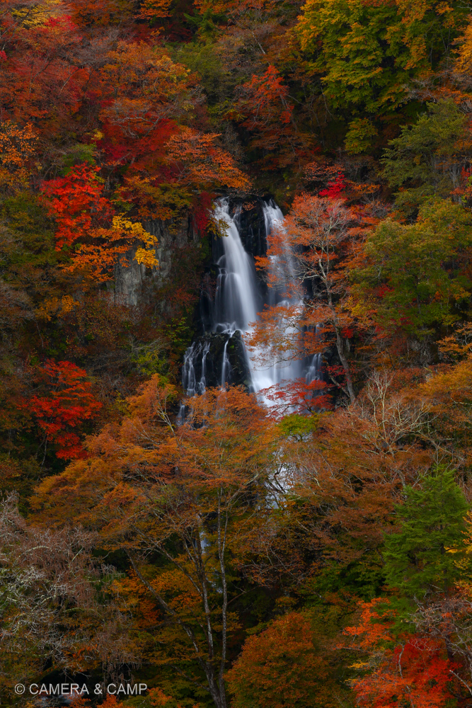 日光 霧降の滝 紅葉