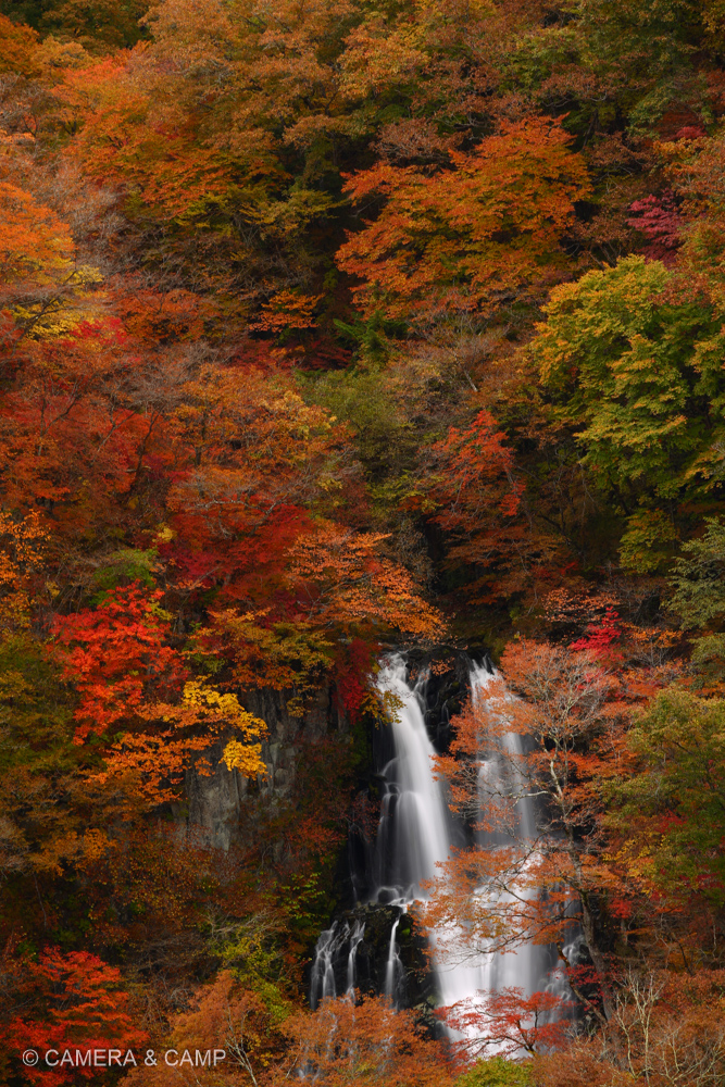 日光 霧降の滝 紅葉