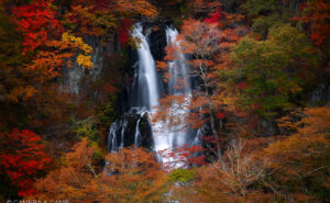 日光 霧降の滝 紅葉