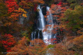 日光 霧降の滝 紅葉