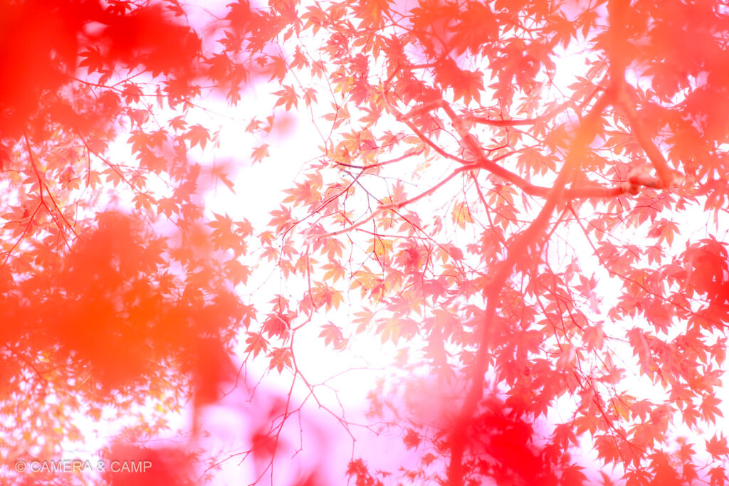 那須塩原 塩原ものがたり館