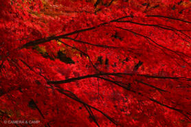 那須塩原 塩原ものがたり館