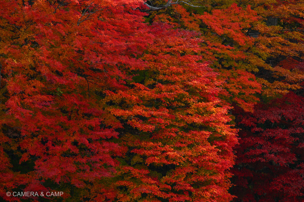 那須塩原 塩原ものがたり館