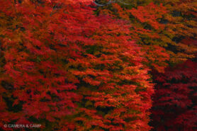 那須塩原 塩原ものがたり館