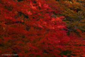 那須塩原 塩原ものがたり館
