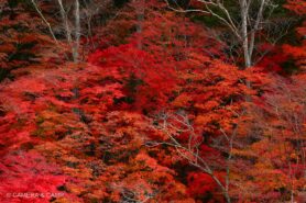 八方が原　創造の滝
