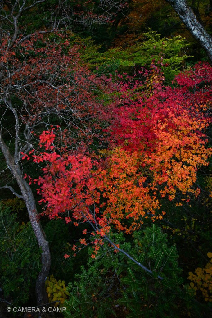 那須塩原の紅葉