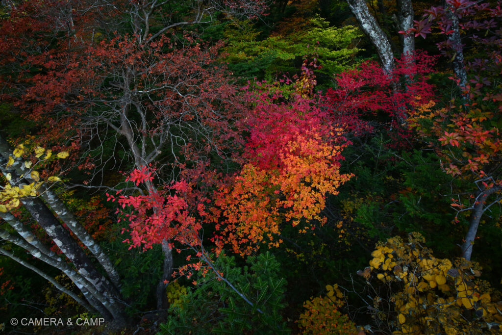 那須塩原の紅葉