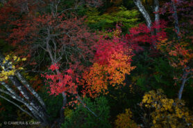 那須塩原の紅葉